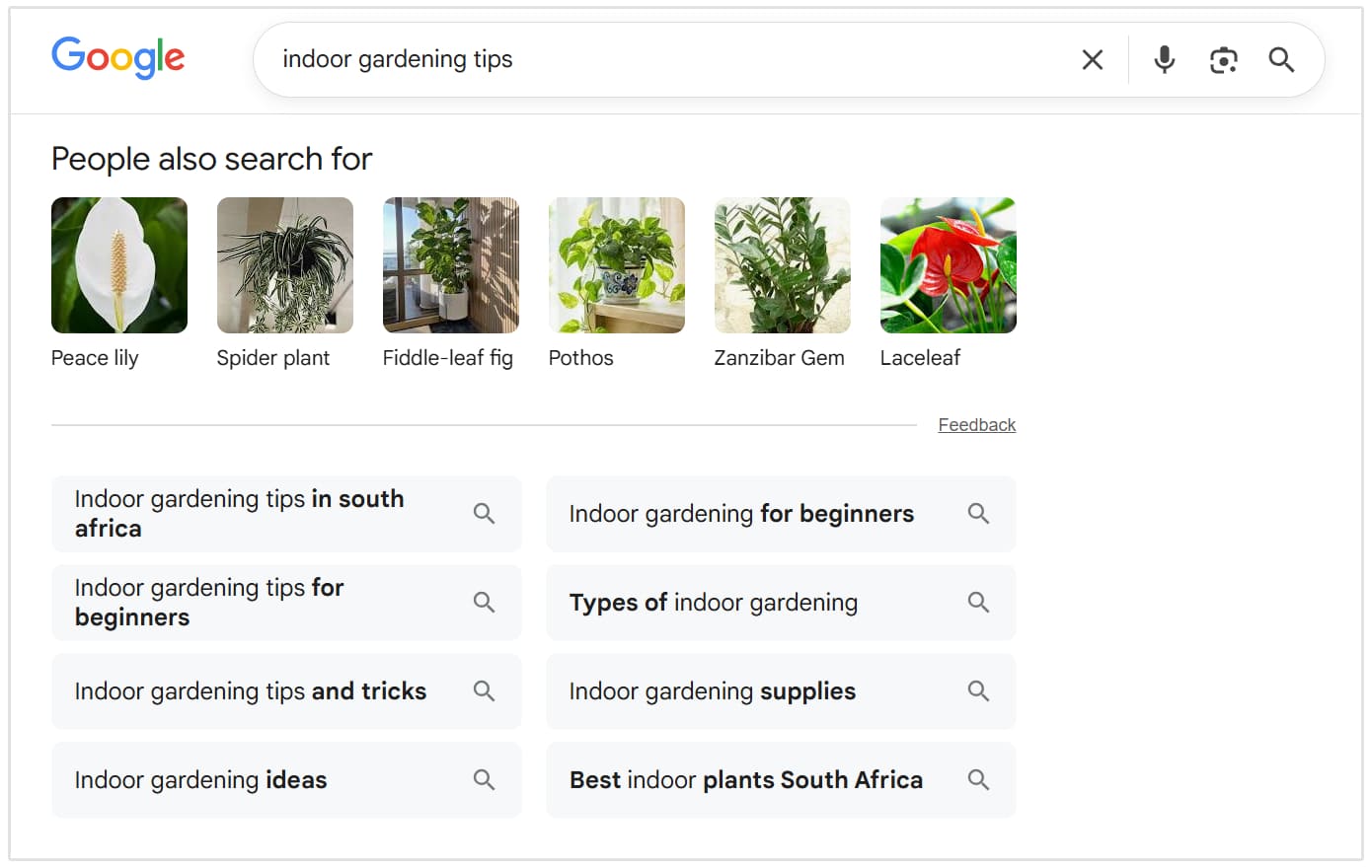 indoor gardening tips PASF